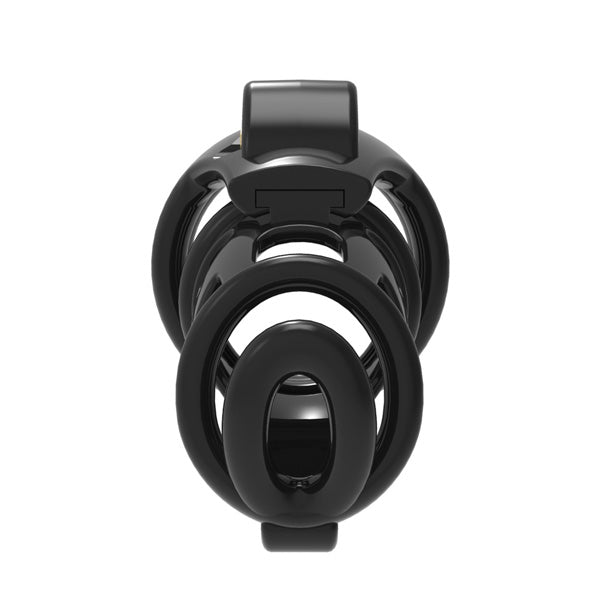 chastity cage d4 front view