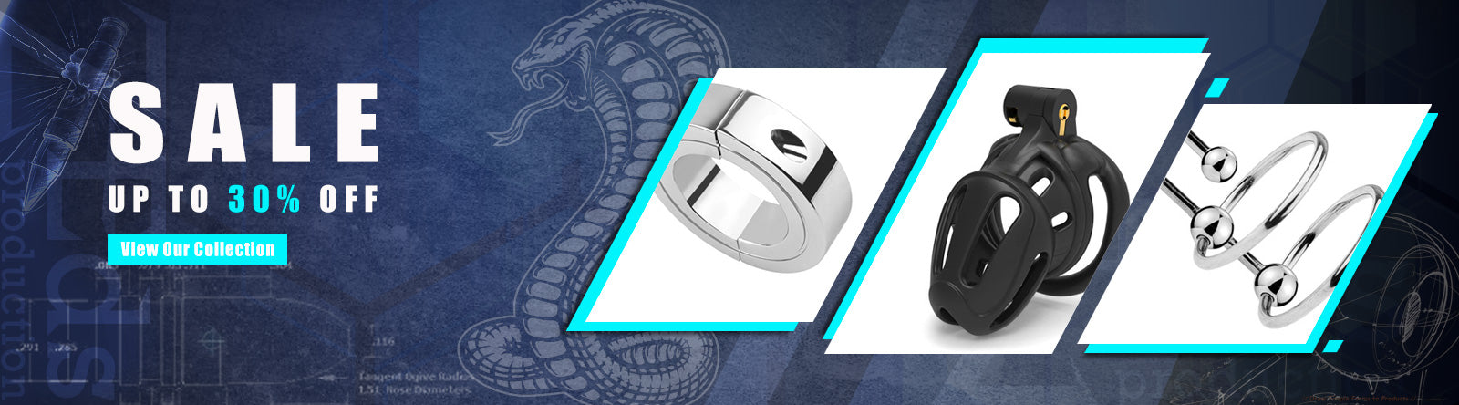 Chastity Cage Banner