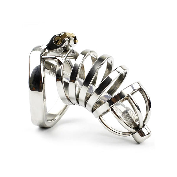 A multi-ring stainless steel chastity device with a small urethral tube, designed to lock away the intimate area. It includes a key lock and keys.