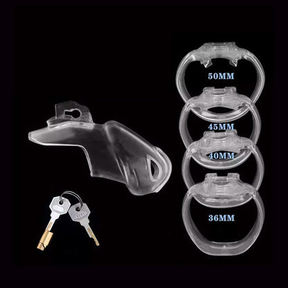 chastity cage v4 with rings set