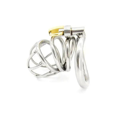 A stainless steel chastity device with a lock and two keys. The device has an open, circular design with a central locking mechanism and ring attachments.