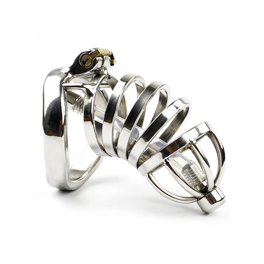 A multi-ring stainless steel chastity device with a small urethral tube, designed to lock away the intimate area. It includes a key lock and keys.