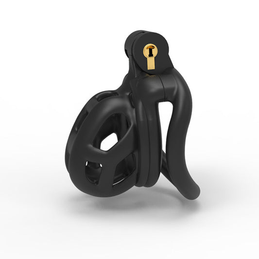 A black chastity device with a smooth surface and a gold-colored key ring.